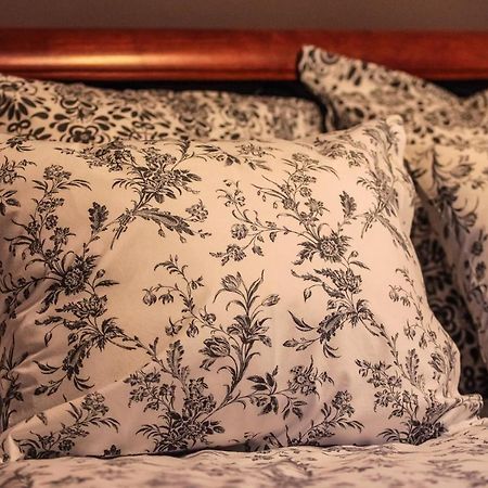 Branicki Apartments Białystok Dış mekan fotoğraf